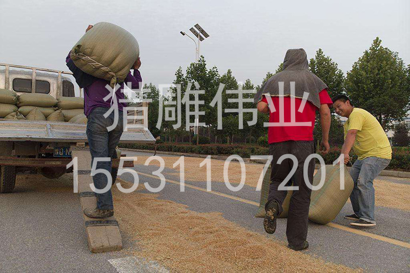 室內(nèi)外小吊機