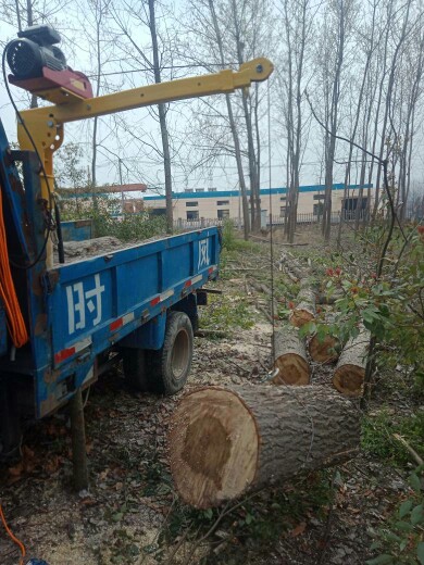 車載吊機(jī)使用案例圖